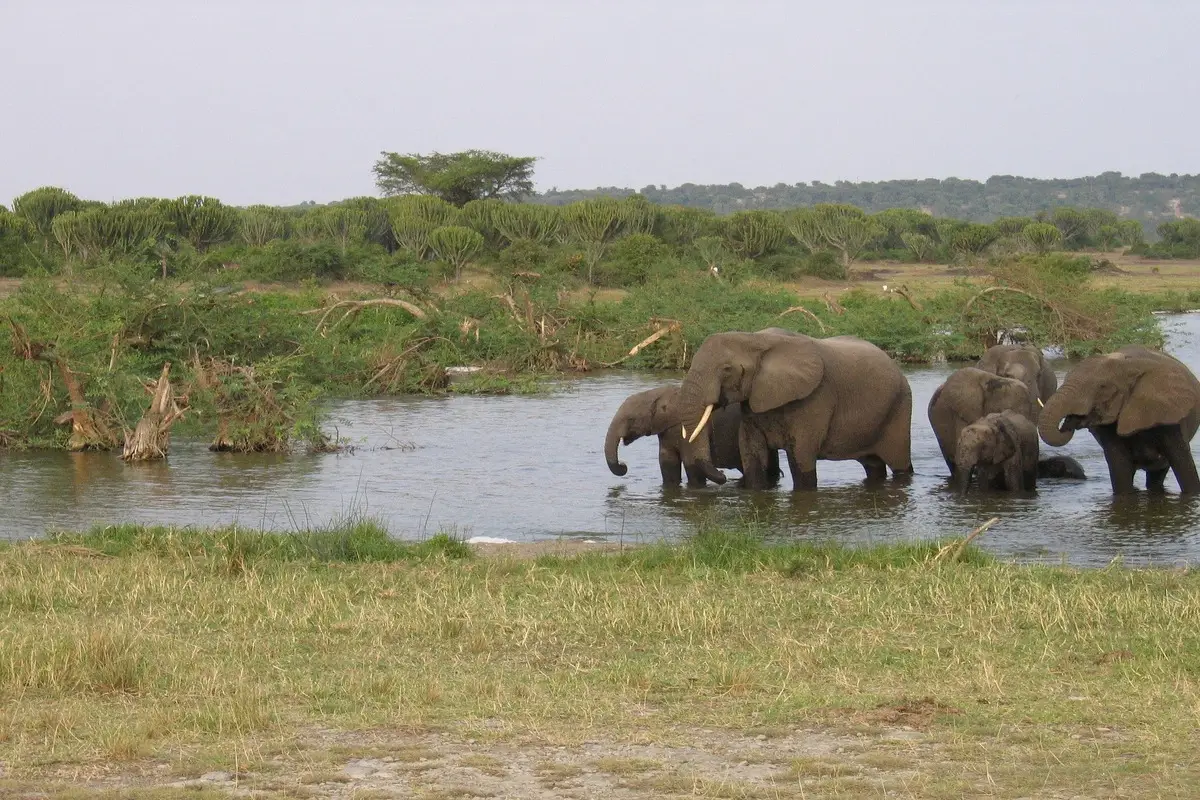 Pearl of Africa Adventure 